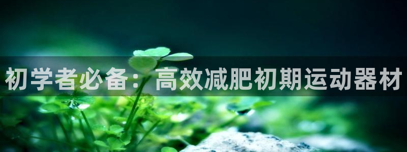 征途国际集团官网:初学者必备:高效减肥初期运动器材