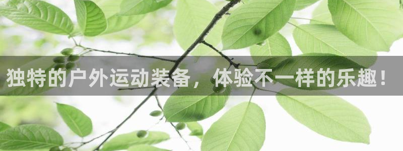 征途国际娱乐下载:独特的户外运动装备,体验不一样的乐趣!