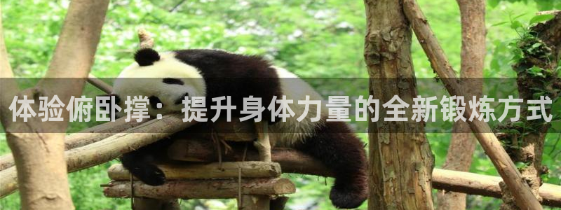 征途国际平台是正规平台吗:体验俯卧撑:提升身体力量的全新锻炼