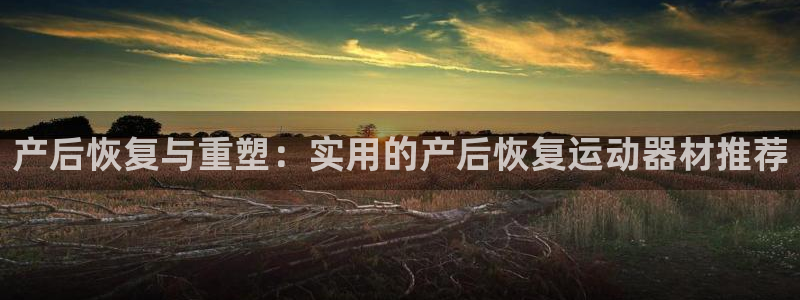 征途国际集团官网首页:产后恢复与重塑:实用的产后恢复运动器材